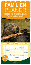 Familienplaner 2024 - Bären im Nationalpark Bayerischer Wald mit 5 Spalten (Wandkalender, 21 x 45 cm) CALVENDO