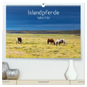 Islandpferde take it Isi (hochwertiger Premium Wandkalender 2024 DIN A2 quer), Kunstdruck in Hochglanz