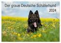 Der graue Deutsche Schäferhund (Tischkalender 2024 DIN A5 quer), CALVENDO Monatskalender