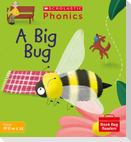 A Big Bug (Set 3)