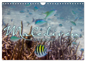 Unterwasserwelt der Malediven III (Wandkalender 2025 DIN A4 quer), CALVENDO Monatskalender