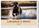 Labradore in Aktion (Tischkalender 2025 DIN A5 quer), CALVENDO Monatskalender