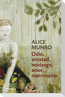 Odio, amistad, noviazgo, amor, matrimonio