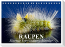 Raupen - Skurrile Verwandlungskünstler (Tischkalender 2024 DIN A5 quer), CALVENDO Monatskalender