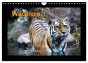 Wildtiere (Wandkalender 2024 DIN A4 quer), CALVENDO Monatskalender