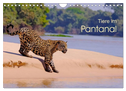 Tiere im Pantanal - viaje.ch (Wandkalender 2024 DIN A4 quer), CALVENDO Monatskalender