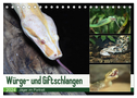 Würge- und Giftschlangen (Tischkalender 2024 DIN A5 quer), CALVENDO Monatskalender