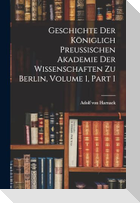 Geschichte Der Königlich Preussischen Akademie Der Wissenschaften Zu Berlin, Volume 1, part 1