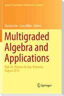 Multigraded Algebra and Applications