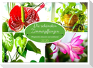 Die schönsten Zimmerpflanzen. Pflegeleicht, dekorativ und wohltuend (Wandkalender 2025 DIN A2 quer), CALVENDO Monatskalender