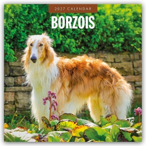 Red, Robin. Borzois - Barsoi - Barzaia - Russischer Wolfshund 2027 - 16-Monatskalender - Original Red Robin Publishing Ltd-Kalender [Mehrsprachig] [Kalender]. Browntrout Verlags GmbH, 2026.