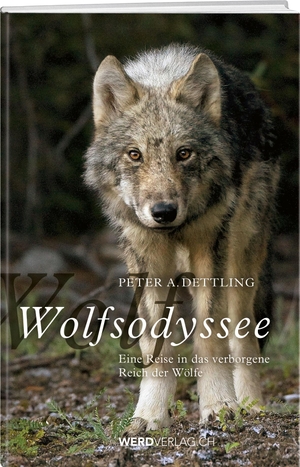 Dettling, Peter A.. Wolfsodyssee - Eine Reise in das verborgene Reich der Wölfe. Weber Verlag, 2020.