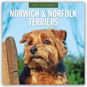 Red, Robin. Norwich Terrier und Norfolk Terrier 2027 - 16-Monatskalender - Original Red Robin Publishing Ltd-Kalender [Mehrsprachig] [Kalender]. Browntrout Verlags GmbH, 2026.