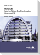 Mathematik für das Berufskolleg - Berufliches Gymnasium. Jahrgangsstufe 11 (NRW)