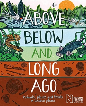 Bright, Michael. Above, Below and Long Ago - Animals, plants and fossils in unseen places (published in partnership with the Natural History Museum). Hachette Children's Group, 2022.