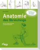 Anatomie des Stretchings