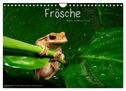 Frösche (Wandkalender 2024 DIN A4 quer), CALVENDO Monatskalender