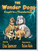 The Wonder Dogs Caught in a Thunderstorm