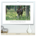 Emotionale Momente: Europäischer Elch. (hochwertiger Premium Wandkalender 2025 DIN A2 quer), Kunstdruck in Hochglanz
