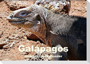 Galápagos Geburtstagskalender (Wandkalender immerwährend DIN A2 quer)