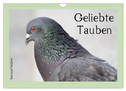 Geliebte Tauben (Wandkalender 2024 DIN A4 quer), CALVENDO Monatskalender