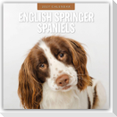 English Springer Spaniels - Englisch Springer Spaniels 2027 - 16-Monatskalender