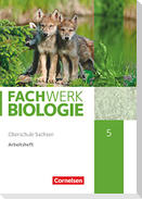 Fachwerk Biologie - Sachsen. 5. Schuljahr - neuer Lehrplan - Arbeitsheft - Neubearbeitung