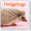 Hedgehogs - Igel 2027 - Wand-Kalender