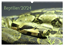 Reptilien 2024 (Wandkalender 2024 DIN A3 quer), CALVENDO Monatskalender