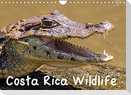 Costa Rica Wildlife (Wall Calendar 2022 DIN A4 Landscape)