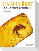 Einschlüsse im baltischen Bernstein