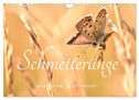 Schmetterlinge. Schimmernde Zauberwesen (Wandkalender 2024 DIN A4 quer), CALVENDO Monatskalender