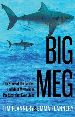 Flannery, Tim / Emma Flannery. Big Meg - The Story of the Largest and Most Mysterious Predator That Ever Lived. Grove Atlantic, 2024.