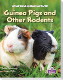 Guinea Pigs and Other Rodents