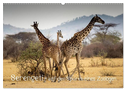Serengeti - auf den Spuren eines Zoologen (Wandkalender 2024 DIN A2 quer), CALVENDO Monatskalender