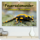 Feuersalamander - Liebenswerte Heimlichtuer (Premium, hochwertiger DIN A2 Wandkalender 2023, Kunstdruck in Hochglanz)