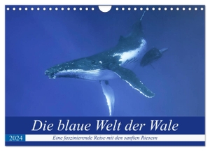 Travelpixx. com, Travelpixx. com. Die blaue Welt der Wale (Wandkalender 2024 DIN A4 quer), CALVENDO Monatskalender - Eine fantastische Reise in die Tiefen des Pazifiks mit den gigantischen Buckelwalen. Calvendo, 2023.