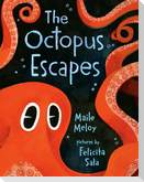 The Octopus Escapes