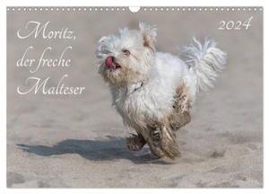 Roos, Hanspeter. Moritz, der freche Malteser (Wandkalender 2024 DIN A3 quer), CALVENDO Monatskalender - Der Malteser Moritz. Calvendo, 2023.