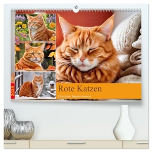 Lehmann, Steffani. Rote Katzen (hochwertiger Premium Wandkalender 2025 DIN A2 quer), Kunstdruck in Hochglanz - 12 abwechslungsreiche Fotos von rot getigerten Katzen.. Calvendo, 2024.