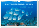 Faszinierendes Leben unter Wasser (Wandkalender 2025 DIN A4 quer), CALVENDO Monatskalender