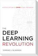 The Deep Learning Revolution