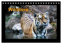 Wildtiere (Tischkalender 2024 DIN A5 quer), CALVENDO Monatskalender
