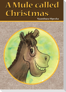 A Mule called Christmas