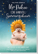 Mr.Pokee