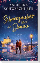 Schneezauber über der Donau