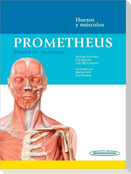 Prometheus : póster de anatomía : huesos y músculos