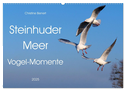 Steinhuder Meer, Vogel-Momente (Wandkalender 2025 DIN A2 quer), CALVENDO Monatskalender