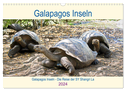 Galapagos Inseln - Die Reise der SY Shangri La (Wandkalender 2024 DIN A3 quer), CALVENDO Monatskalender