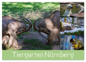 Tiergarten Nürnberg (Wandkalender 2024 DIN A2 quer), CALVENDO Monatskalender